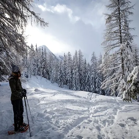 Vakantiehuis In Riddes Near Lift Les 4 Vallees *